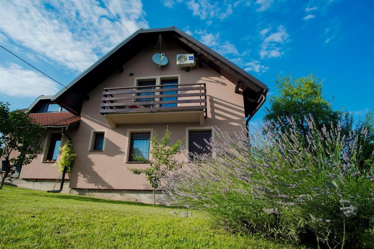 Studio Apartment Karlo Dreznik Grad Luaran gambar