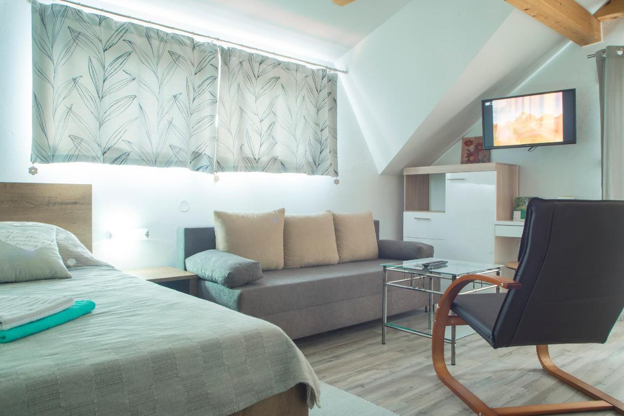 Studio Apartment Karlo Dreznik Grad Luaran gambar