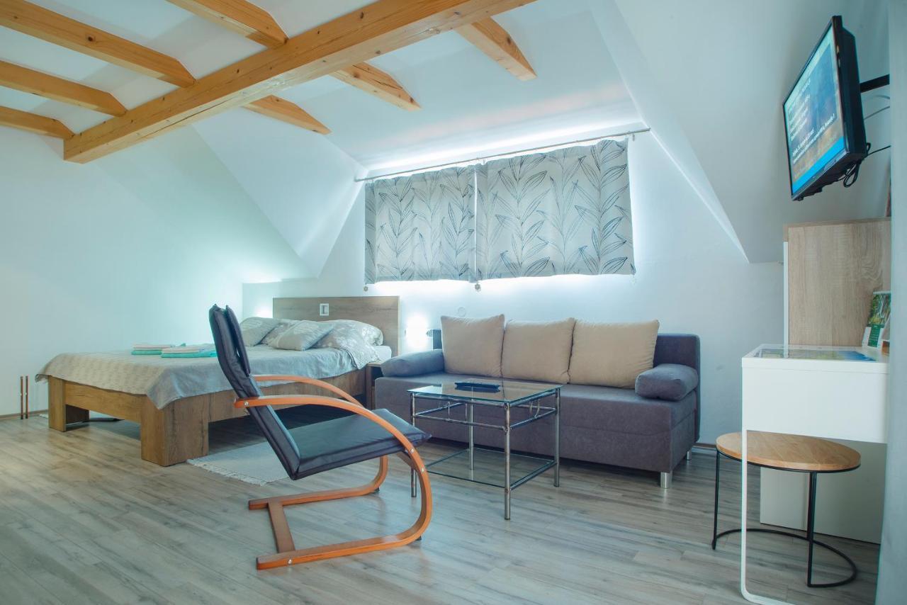Studio Apartment Karlo Dreznik Grad Luaran gambar
