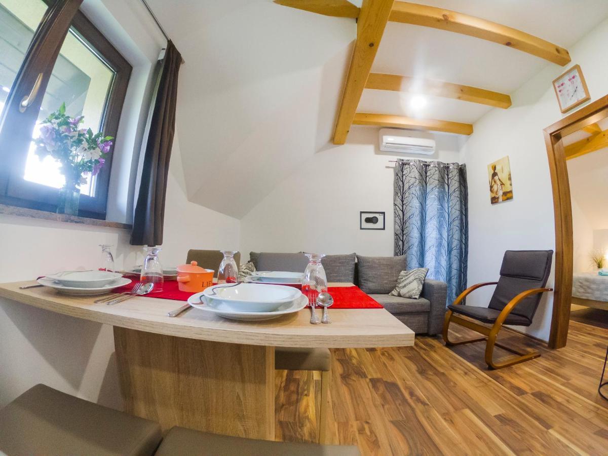 Studio Apartment Karlo Dreznik Grad Luaran gambar